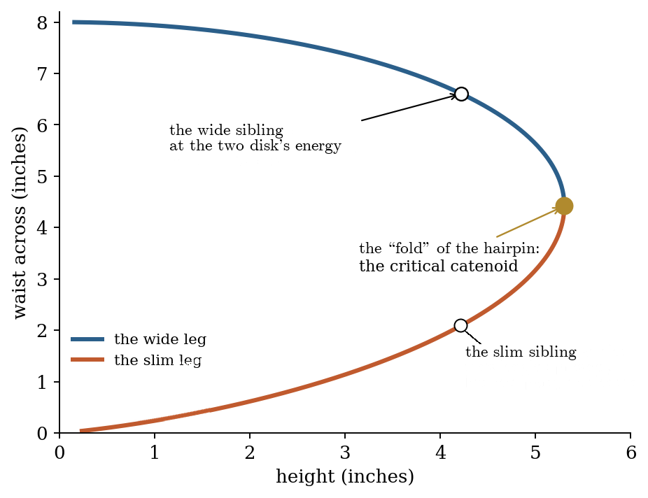Waist across plotted against height: one curve folded back like a hairpin, the critical catenoid at the turn