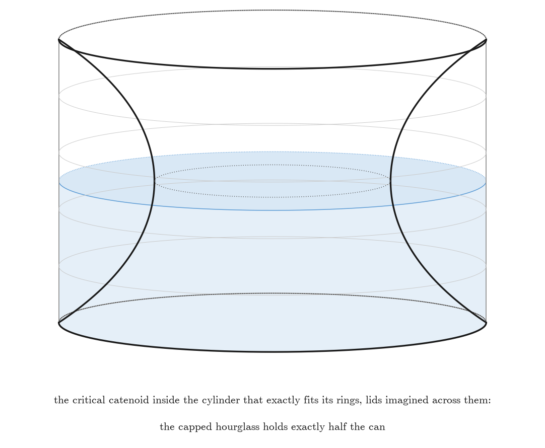 The critical catenoid, translucent, inside the cylinder that exactly fits its rings, with imagined lids