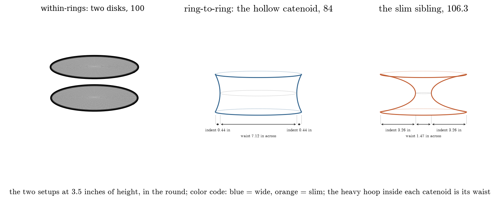 Two flat within-rings disks priced at 100, the ring-to-ring catenoid at 3.5 inches priced at 84.5, and the slim catenoid at 106.3